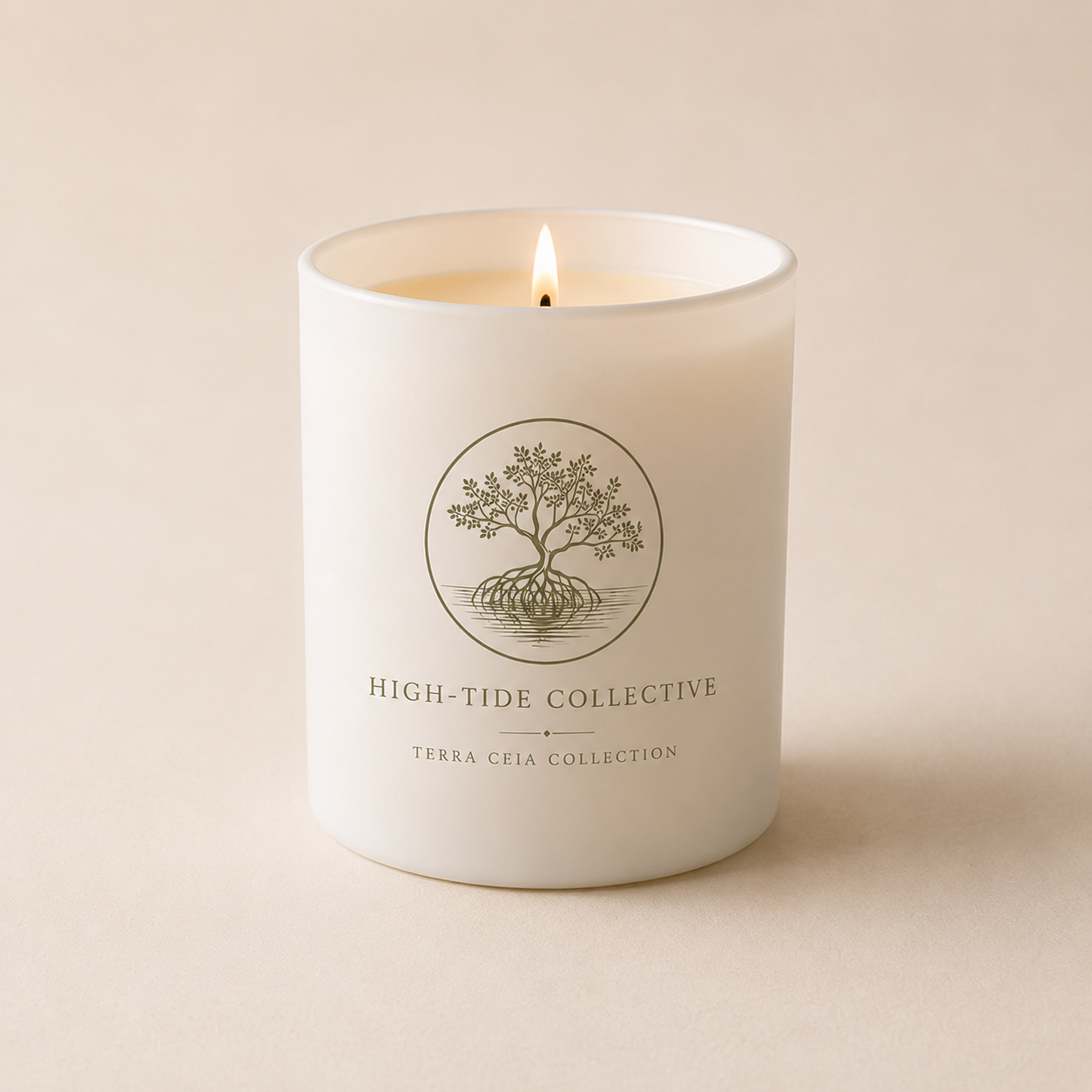 The Terra Ceia Collection