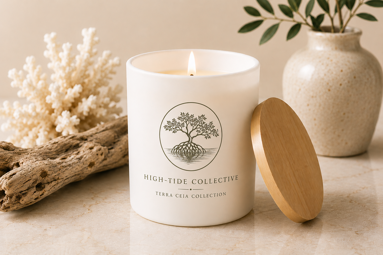 The Terra Ceia Collection